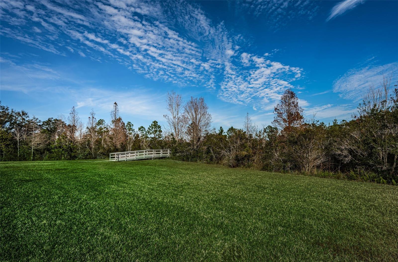 Image 64 of 72 For 3033 Stonegate Falls Drive