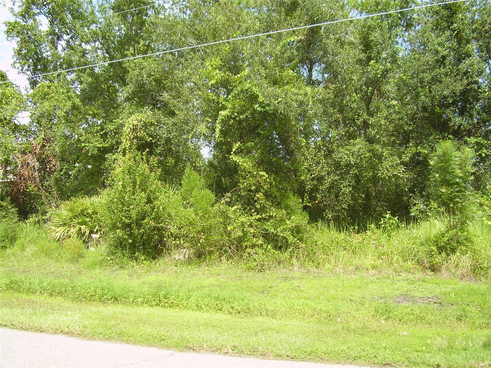 Image 2 of 4 For 431 Dove Drive