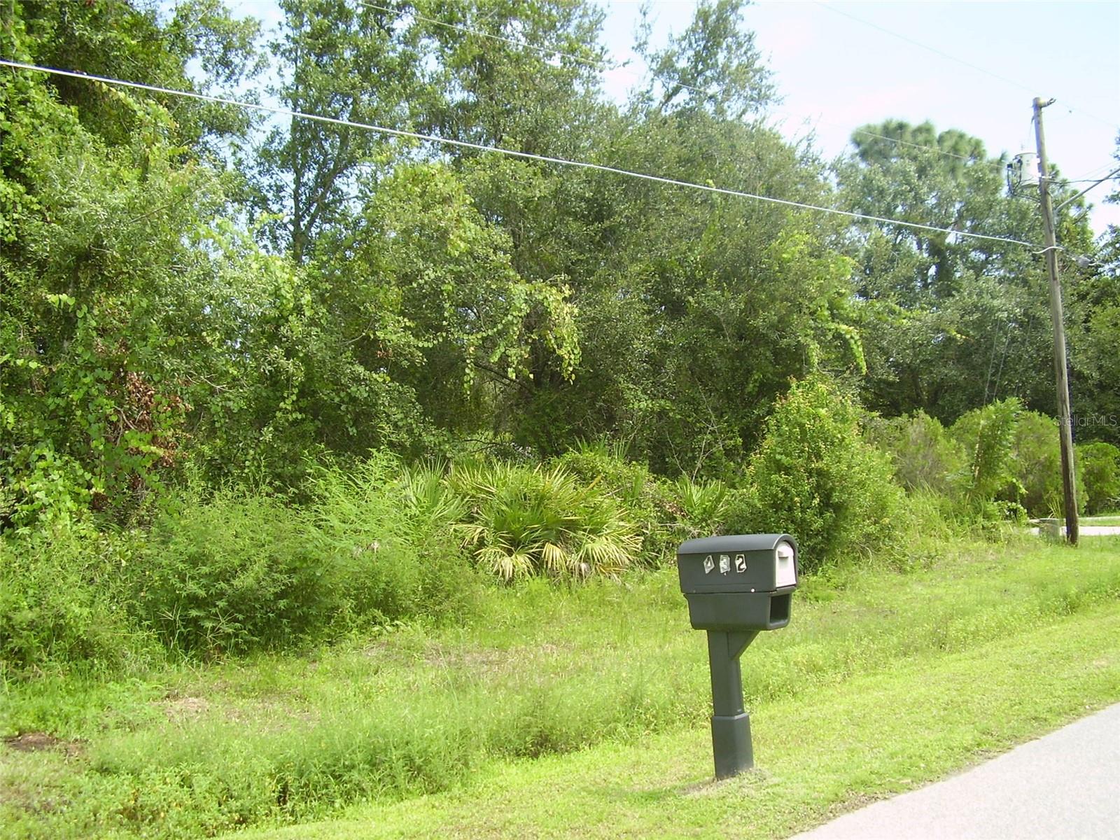 Image 3 of 4 For 431 Dove Drive