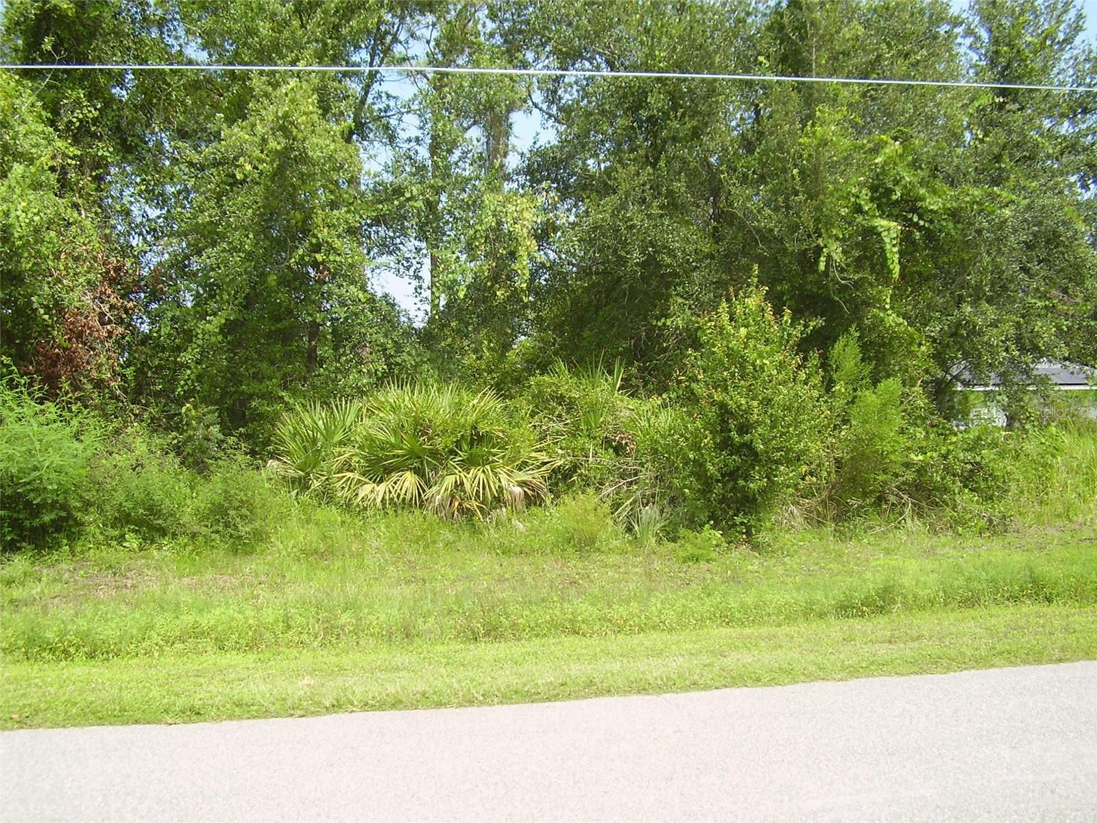 Image 4 of 4 For 431 Dove Drive