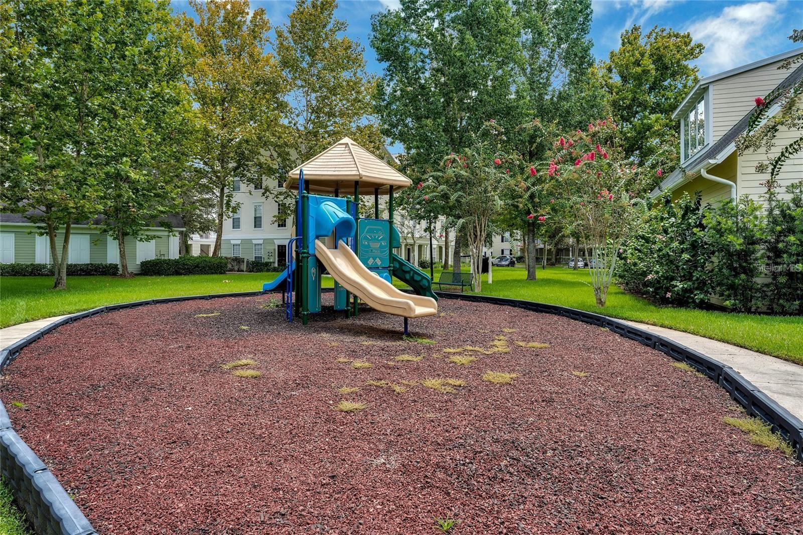 Image 17 of 24 For 233 Goldenrain Drive 3104