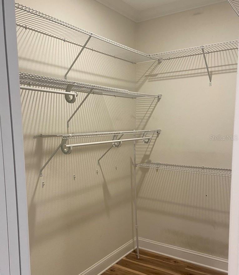 Image 37 of 51 For 233 Goldenrain Drive 3104