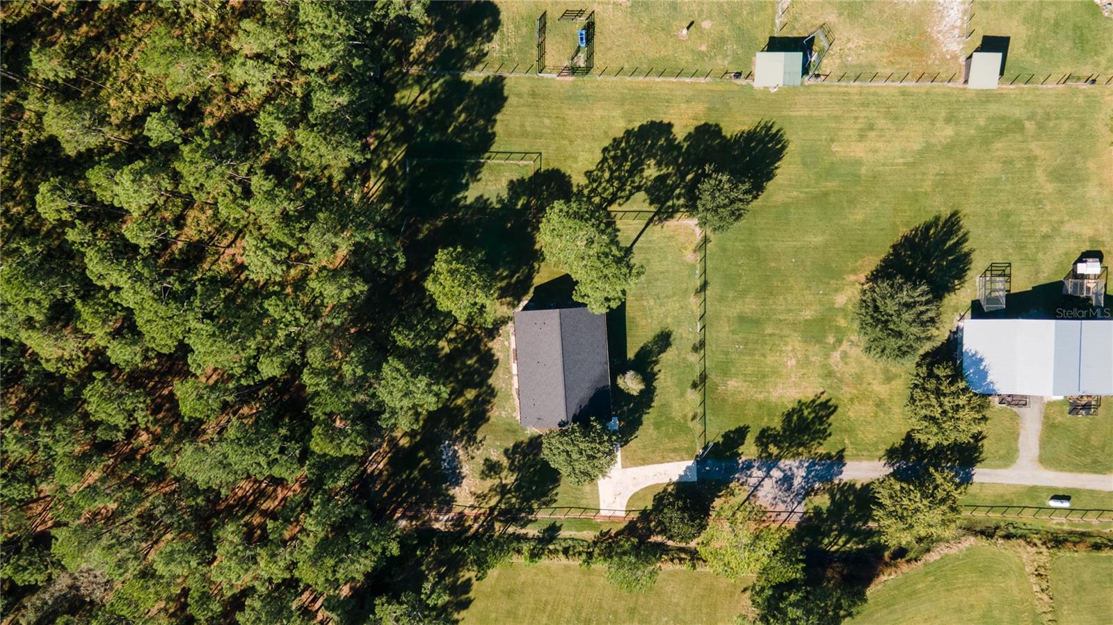 Image 31 of 36 For 1325 Niatross Street