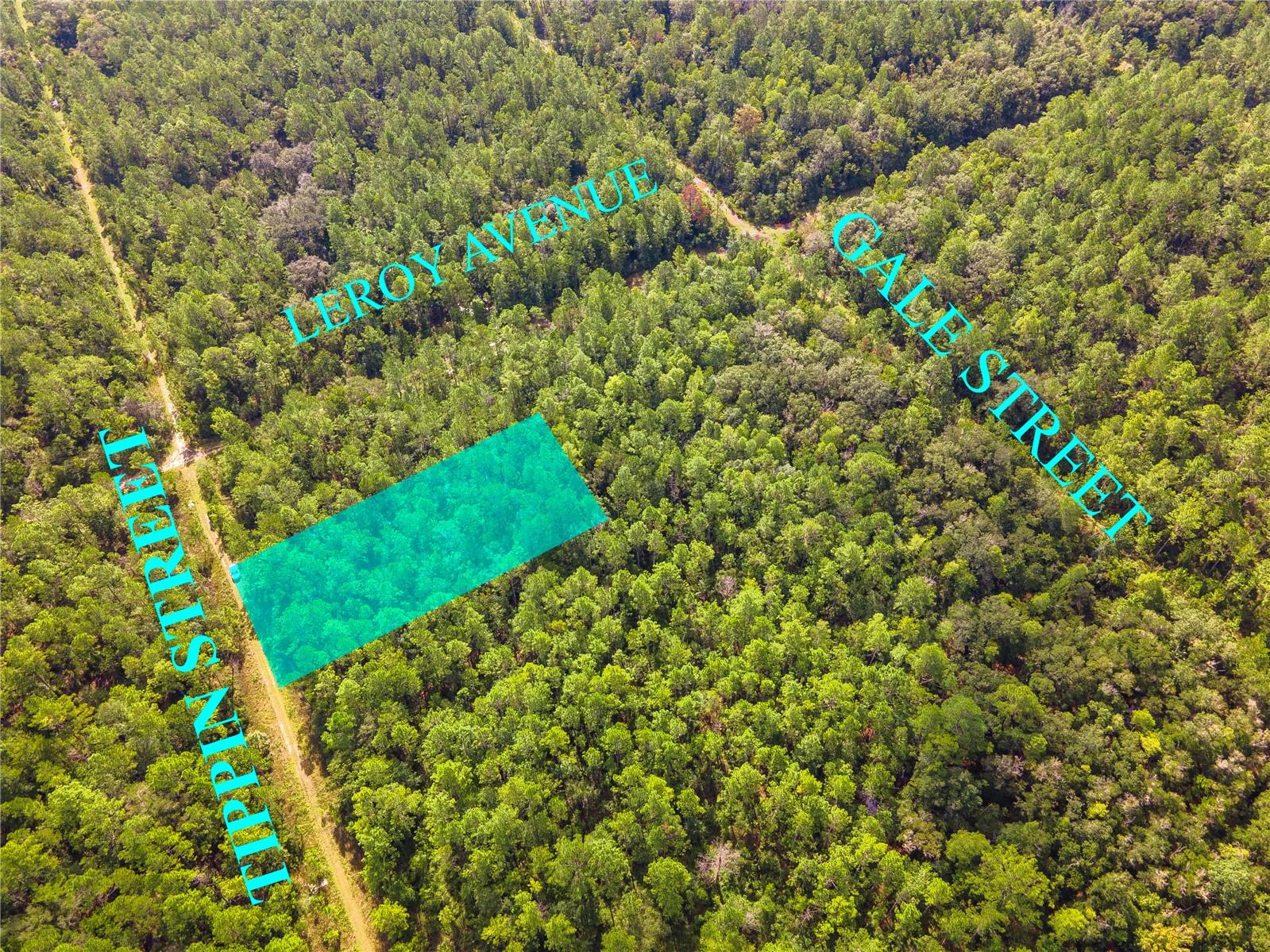 Image 3 of 8 For 0 Tippin Street