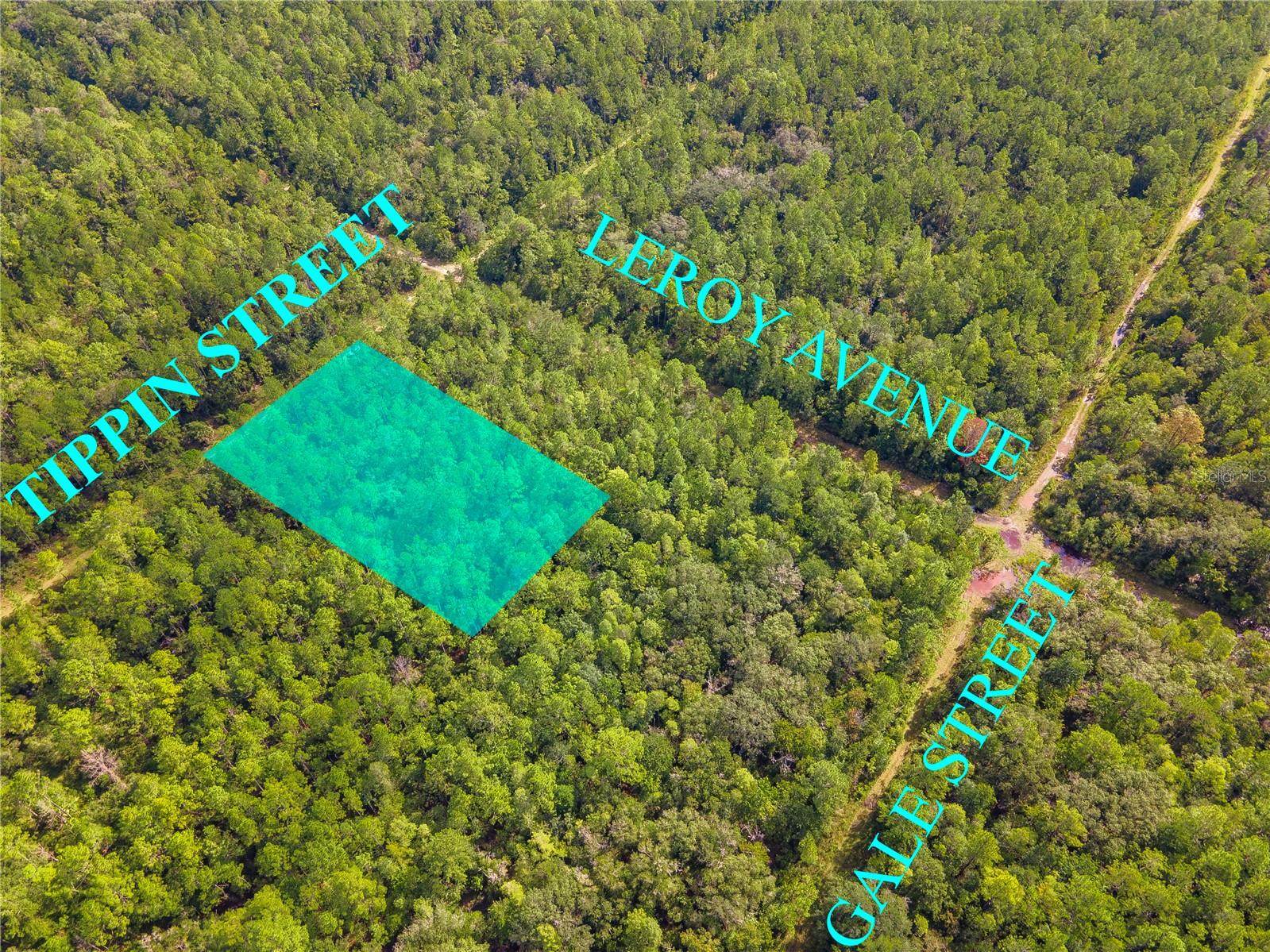 Image 4 of 8 For 0 Tippin Street