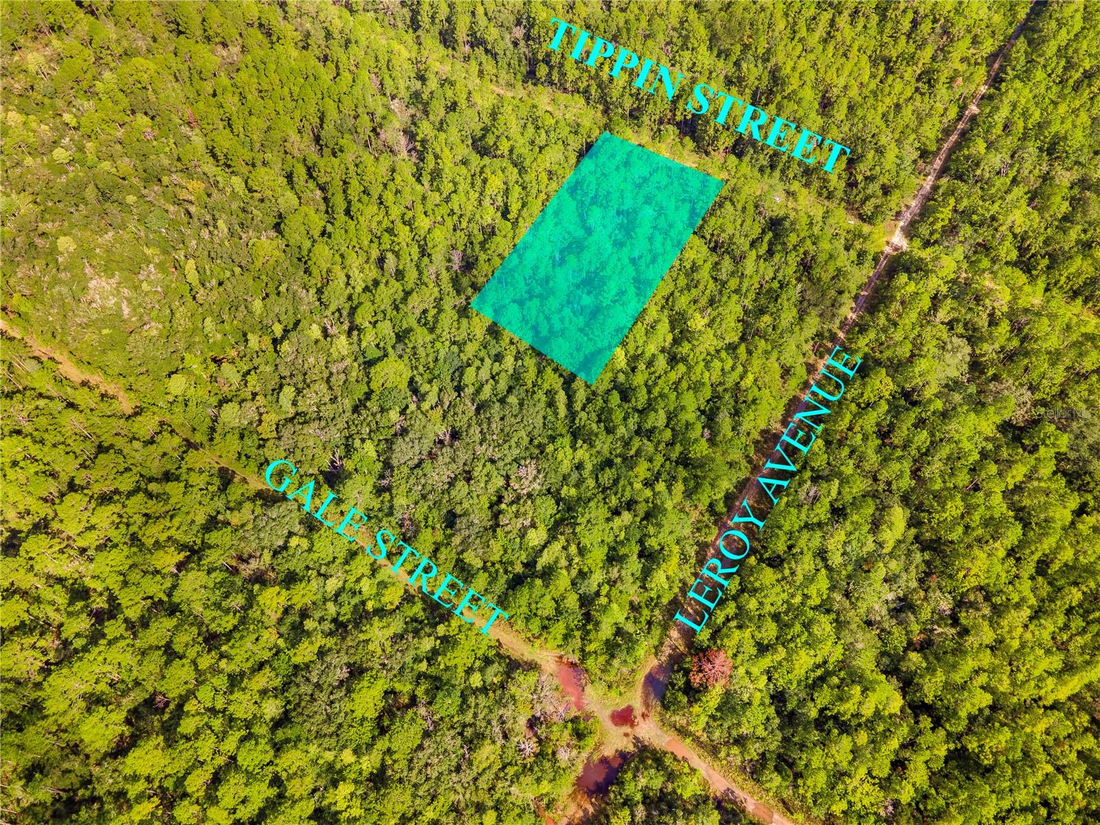 Image 6 of 8 For 0 Tippin Street