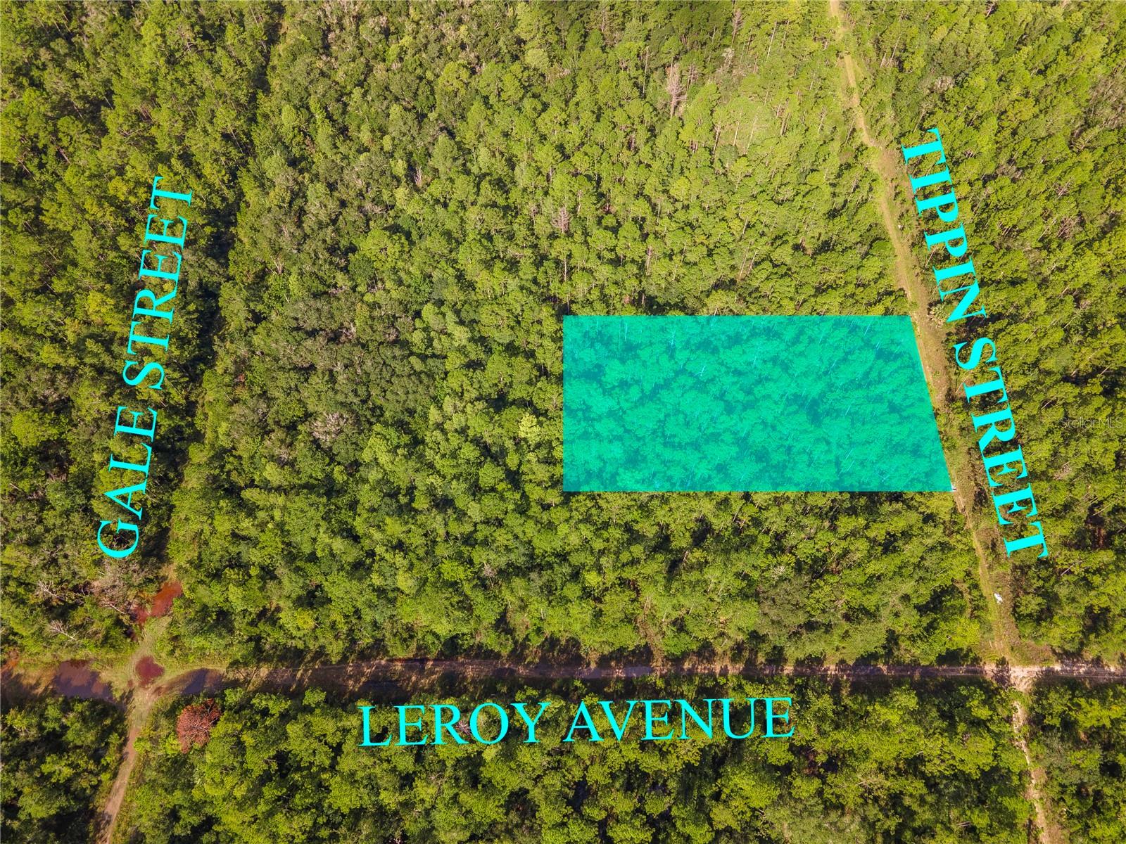 Image 8 of 8 For 0 Tippin Street