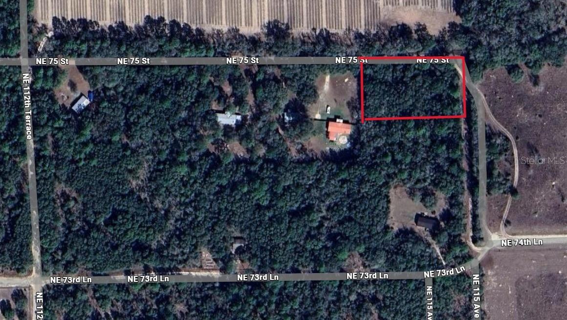 Details for  75 Street , WILLISTON, FL 32696