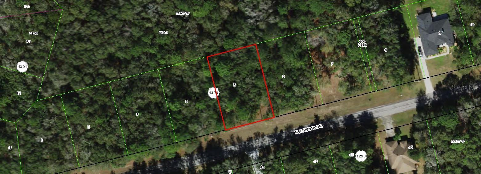 Listing Details for 10205 Athenia Drive, CITRUS SPRINGS, FL 34434