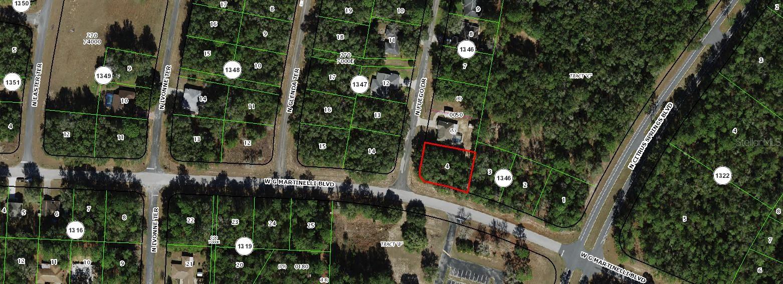 Listing Details for 11007 Fuego Drive, CITRUS SPRINGS, FL 34434