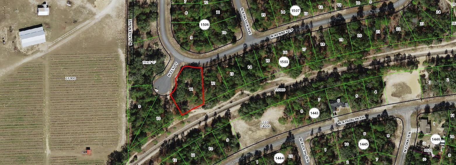 Listing Details for 11247 Ely Point, DUNNELLON, FL 34433