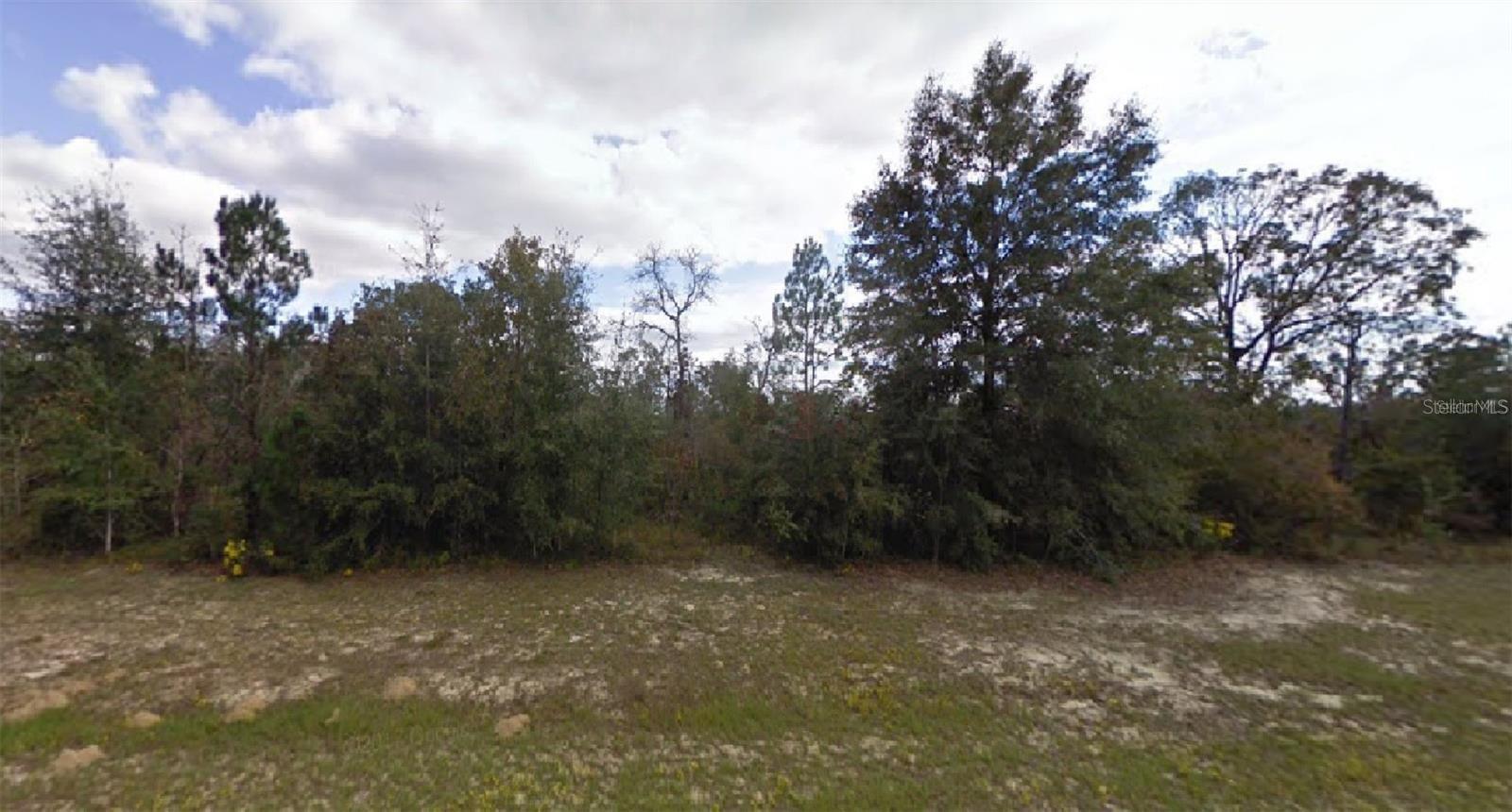 Listing Details for  Crest Lane , CHIPLEY, FL 32428
