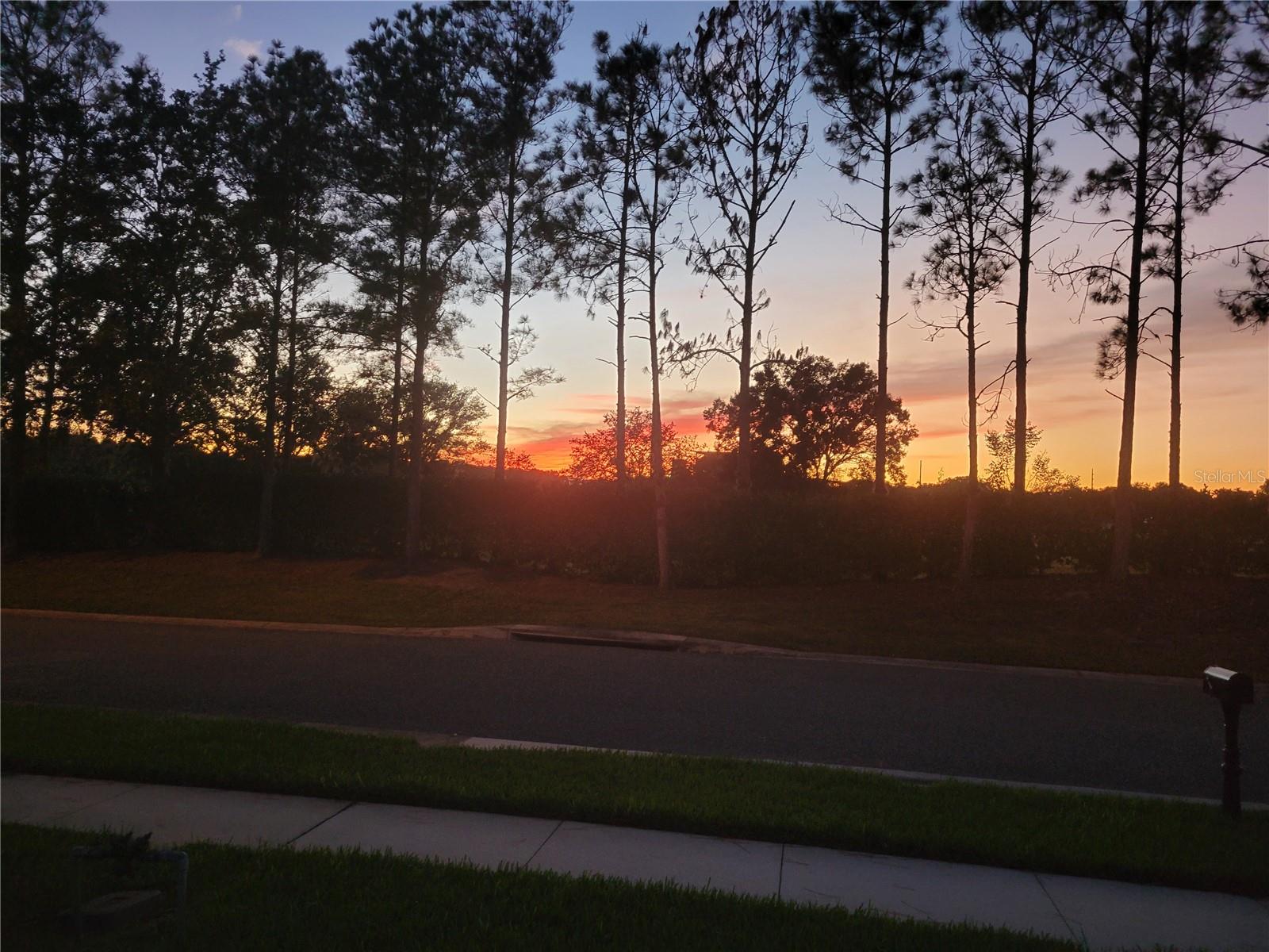 Image 51 of 96 For 27343 Roanoke Drive