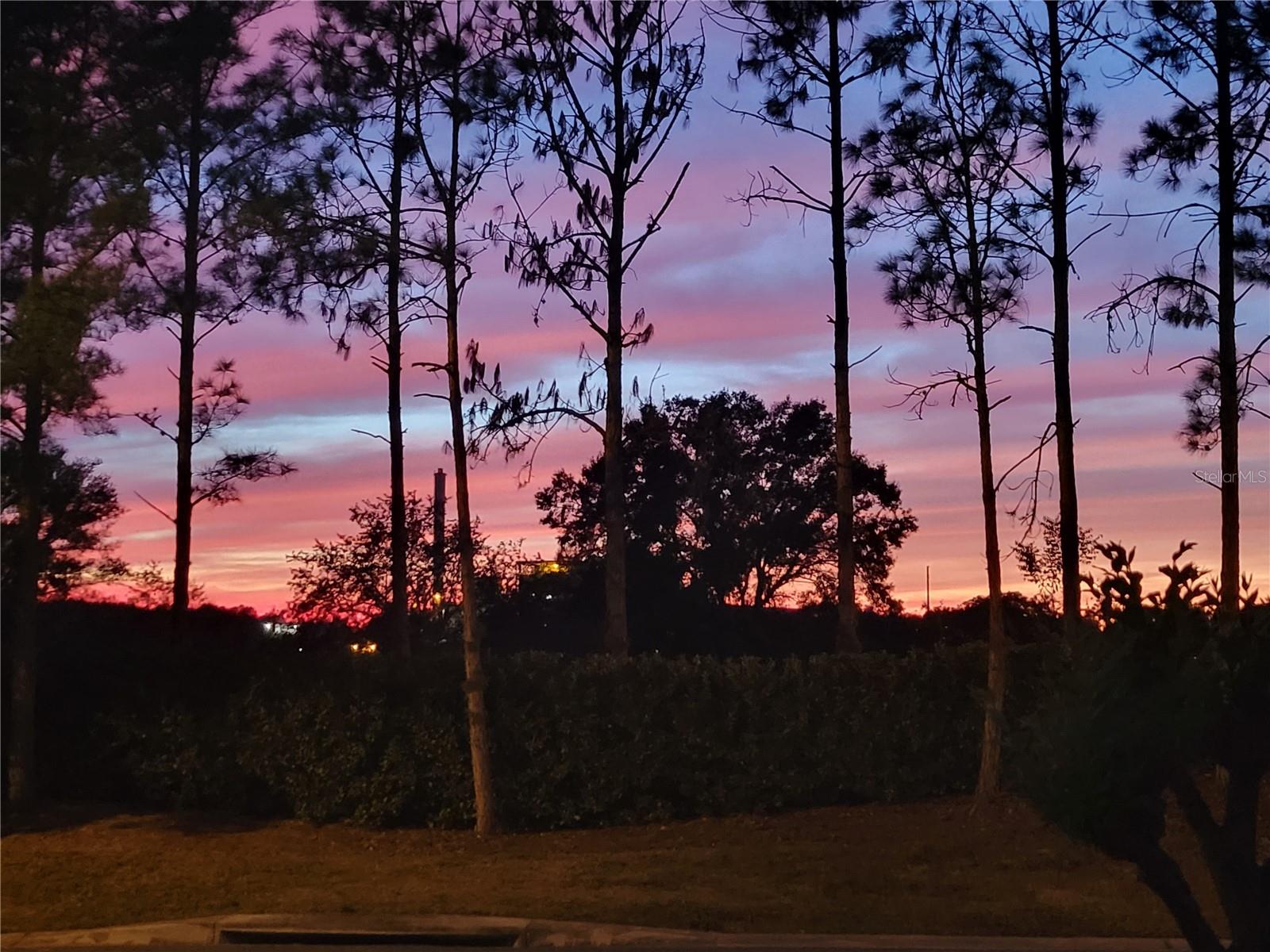 Image 93 of 96 For 27343 Roanoke Drive