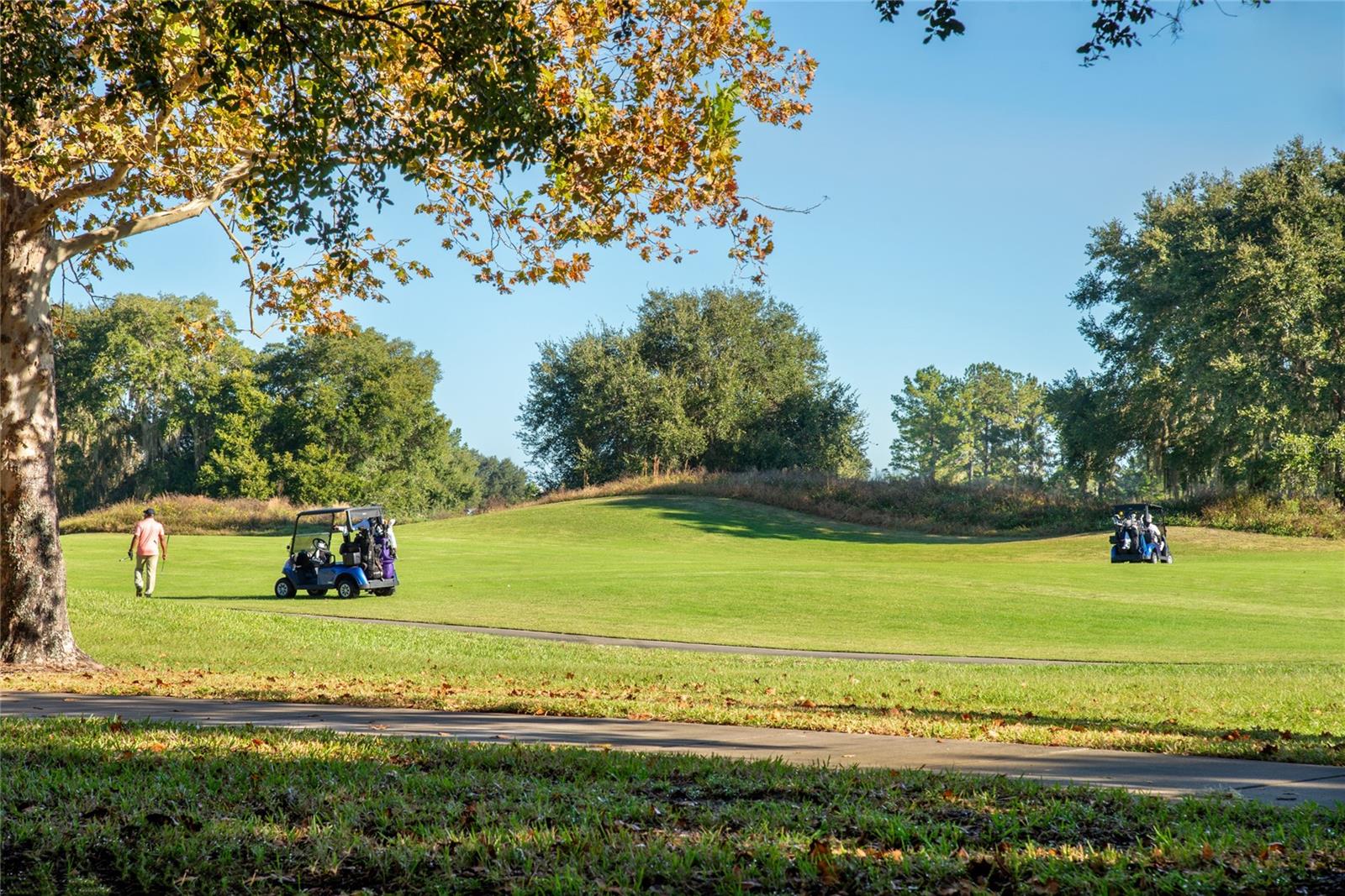 Image 25 of 27 For 7132 Red Lantern Drive 198