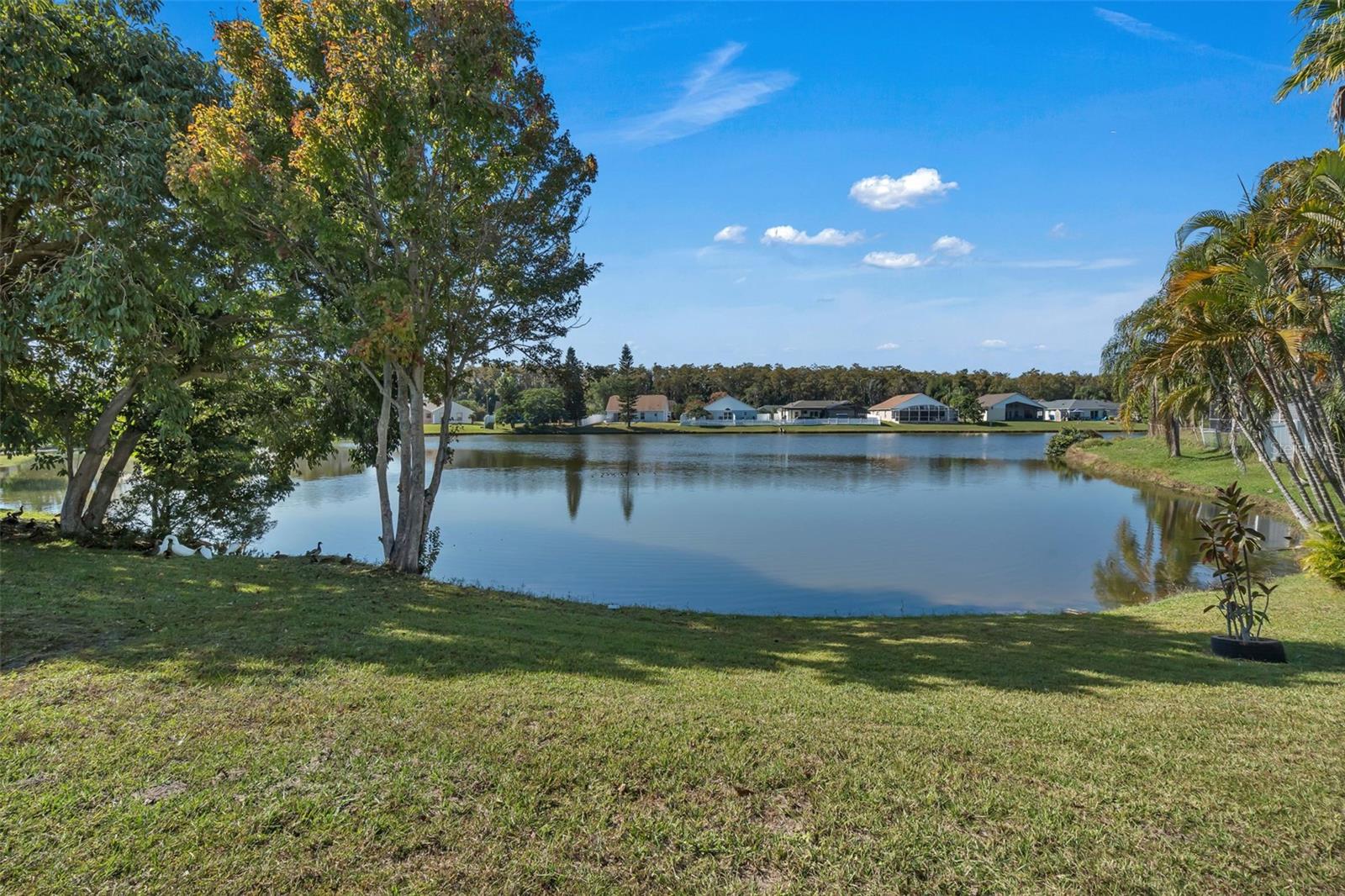 Image 6 of 24 For 2416 Morgan Point Boulevard