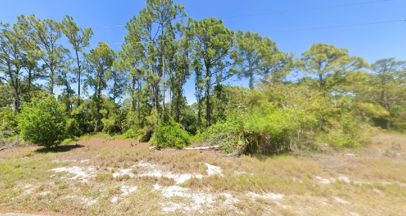 Listing Details for 348 Gleaming Avenue, LAKE PLACID, FL 33852