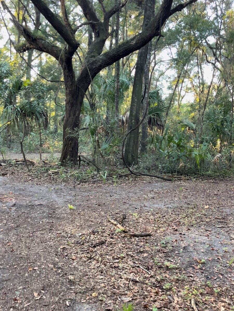 Image 10 of 20 For Tbd 27th Place