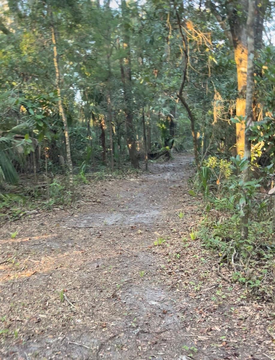 Image 11 of 20 For Tbd 27th Place