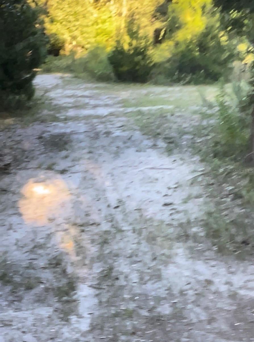 Image 12 of 20 For Tbd 27th Place