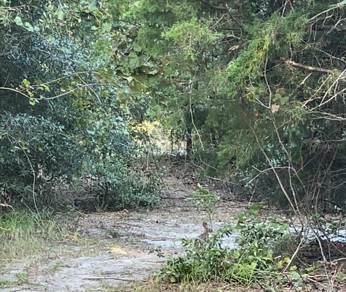 Image 13 of 20 For Tbd 27th Place