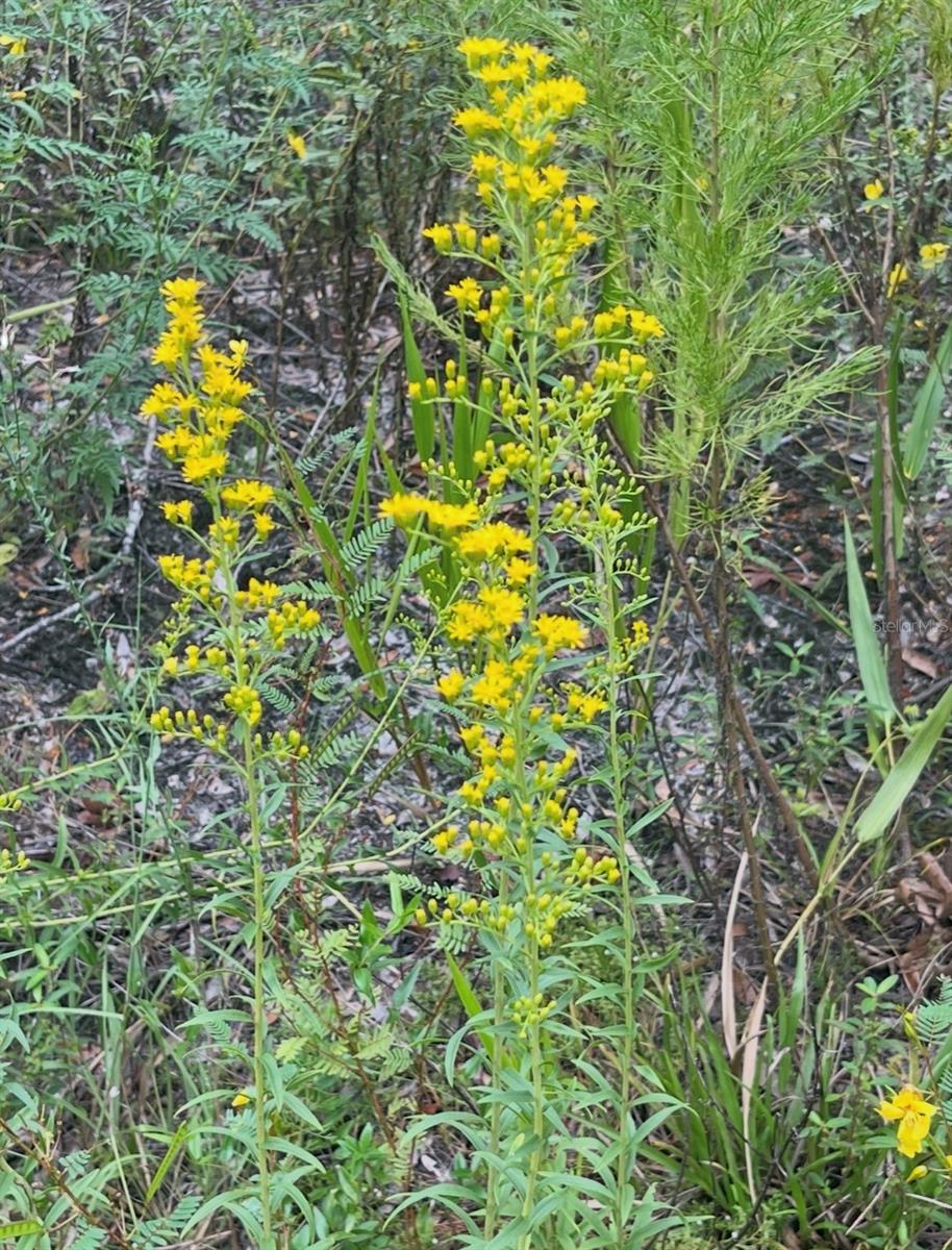 Image 14 of 20 For Tbd 27th Place