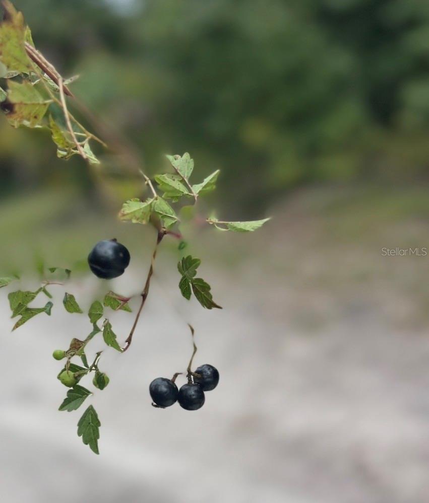 Image 15 of 20 For Tbd 27th Place