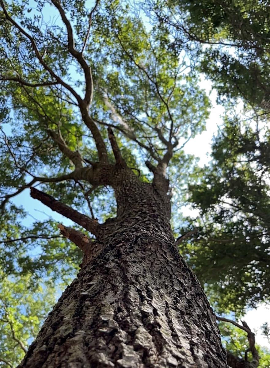 Image 16 of 20 For Tbd 27th Place