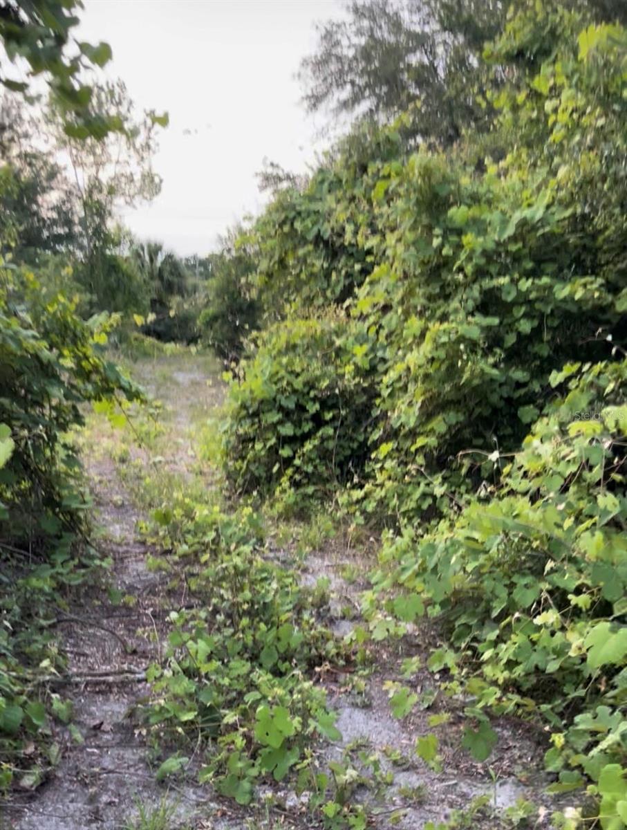 Image 17 of 20 For Tbd 27th Place