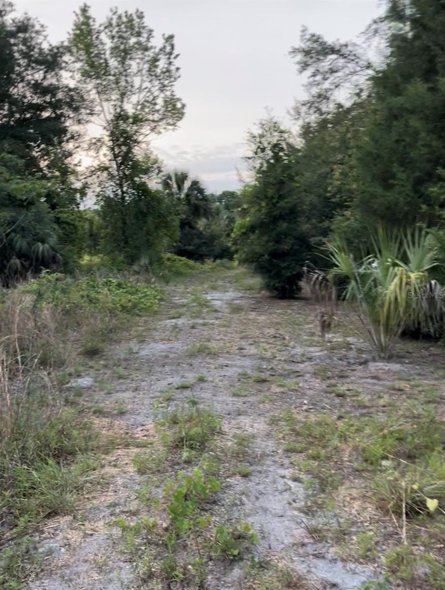 Image 18 of 20 For Tbd 27th Place