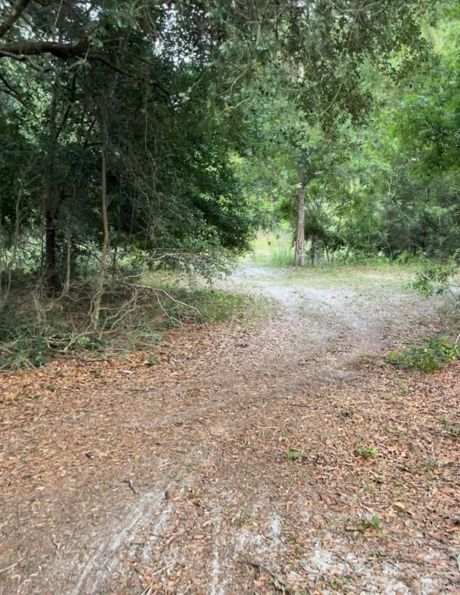 Image 19 of 20 For Tbd 27th Place