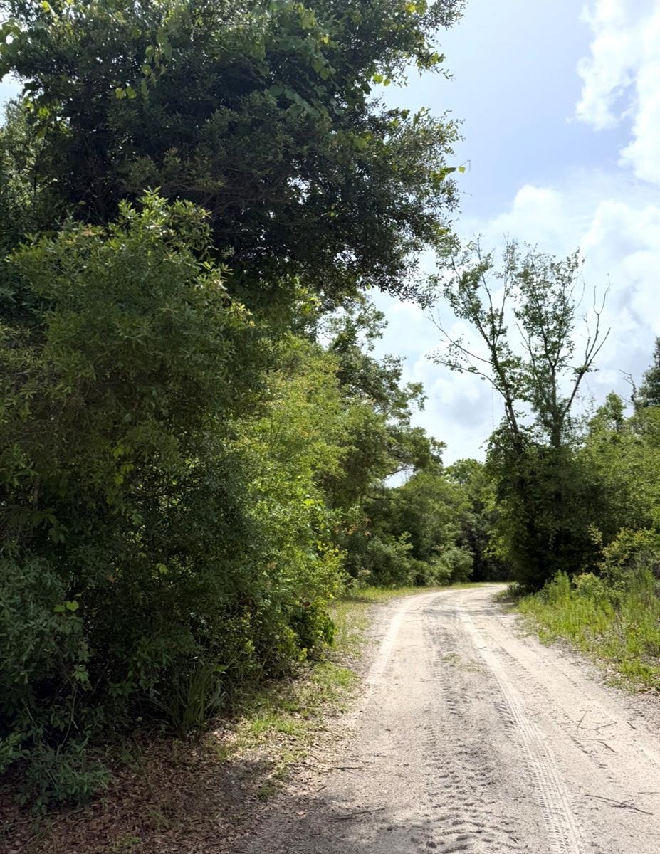 Image 4 of 20 For Tbd 27th Place