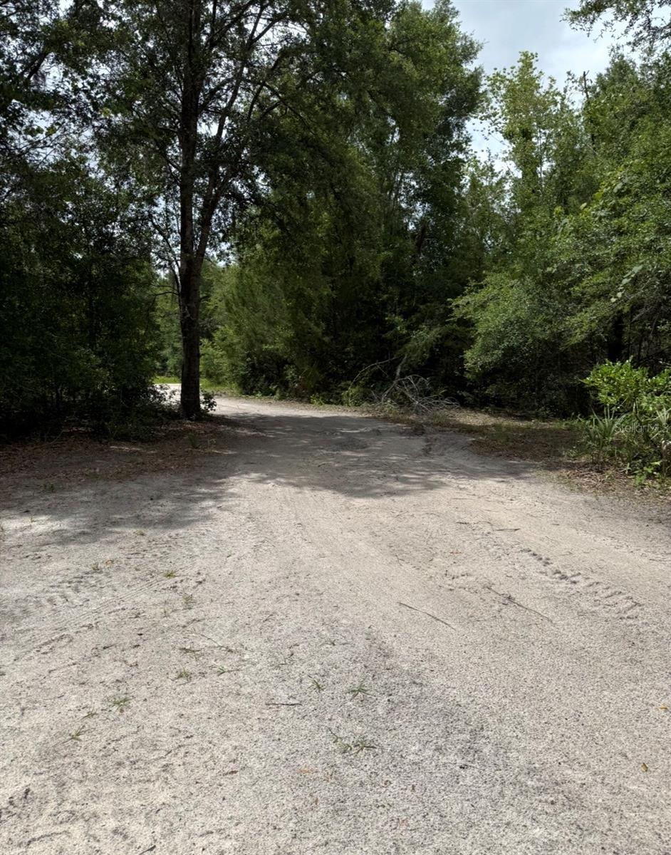 Image 5 of 20 For Tbd 27th Place