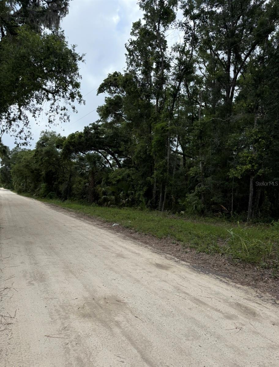 Image 6 of 20 For Tbd 27th Place