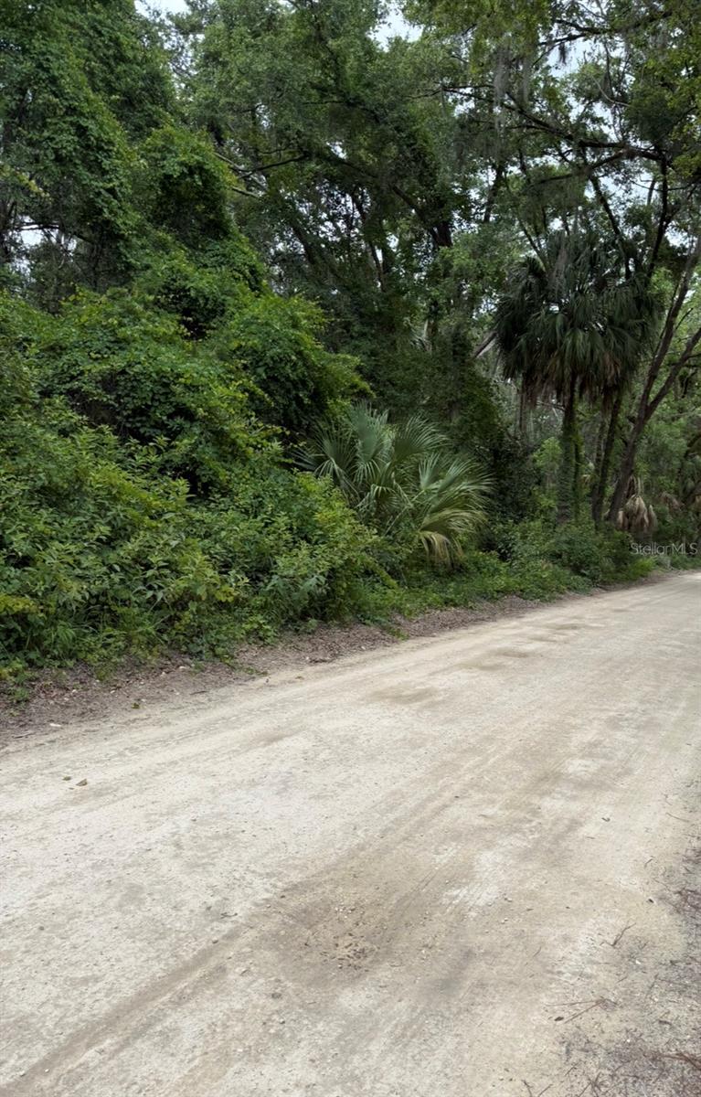 Image 7 of 20 For Tbd 27th Place