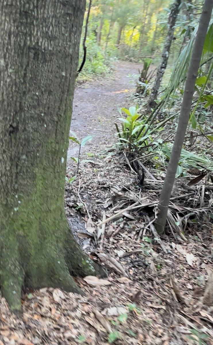 Image 8 of 20 For Tbd 27th Place