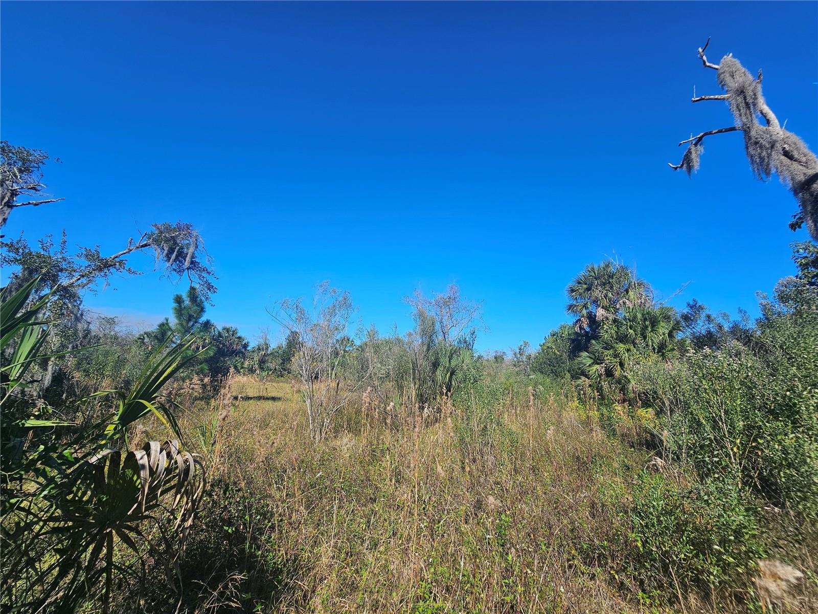 Image 2 of 7 For 786 Fort Florida Road