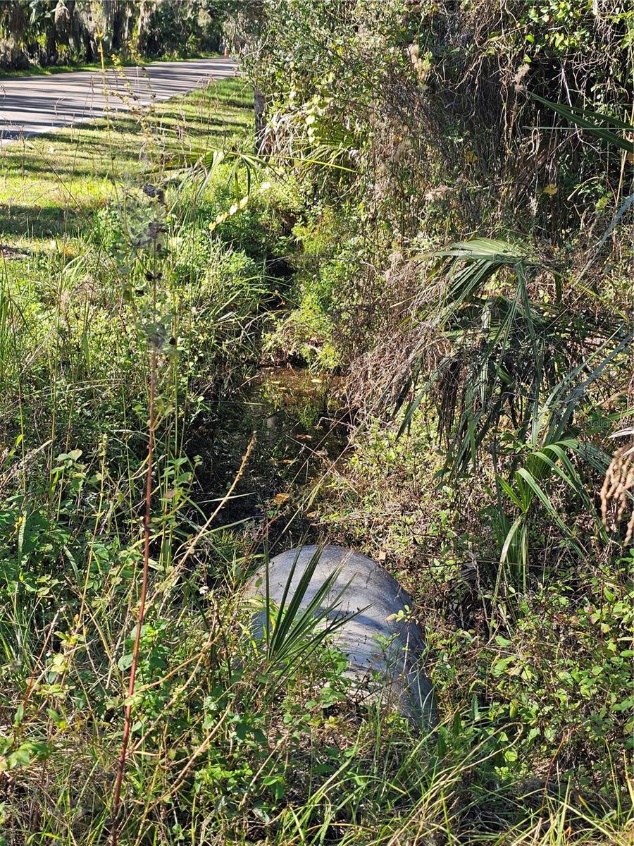 Image 3 of 7 For 786 Fort Florida Road