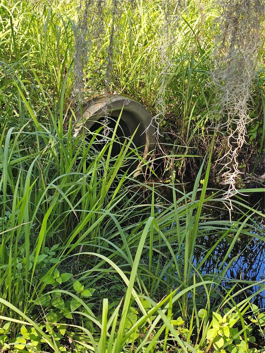 Image 4 of 7 For 786 Fort Florida Road