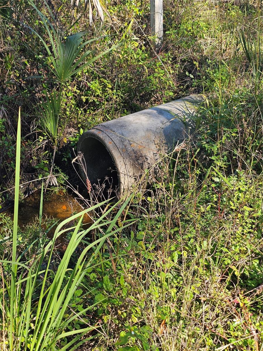 Image 5 of 7 For 786 Fort Florida Road