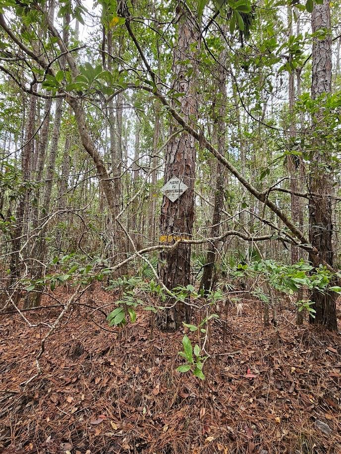 Image 14 of 27 For 804 Shell Harbor Road