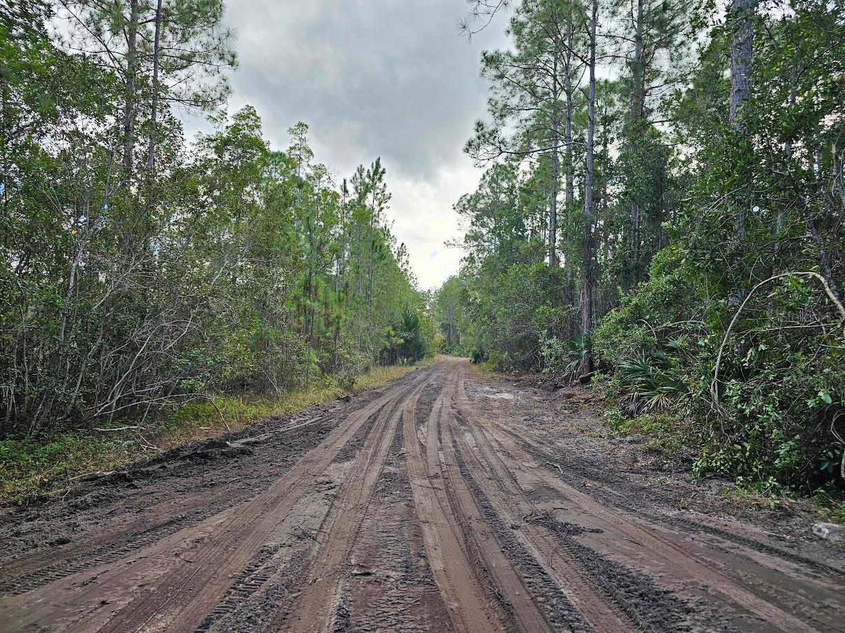 Image 2 of 27 For 804 Shell Harbor Road