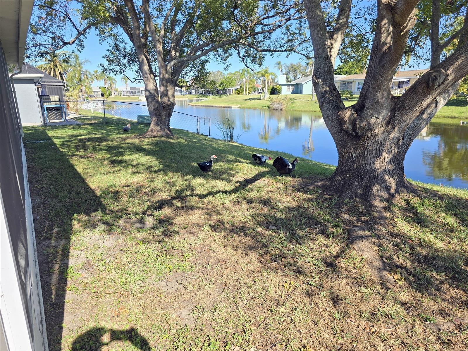 Image 16 of 41 For 3604 Delta Place