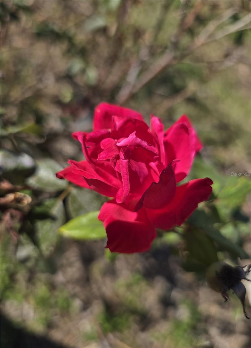 Image 40 of 41 For 3604 Delta Place