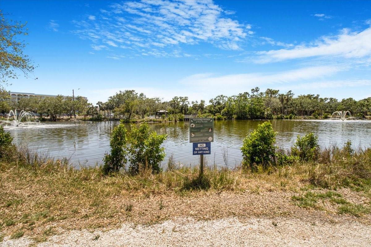 Image 36 of 42 For 2728 58th Street S