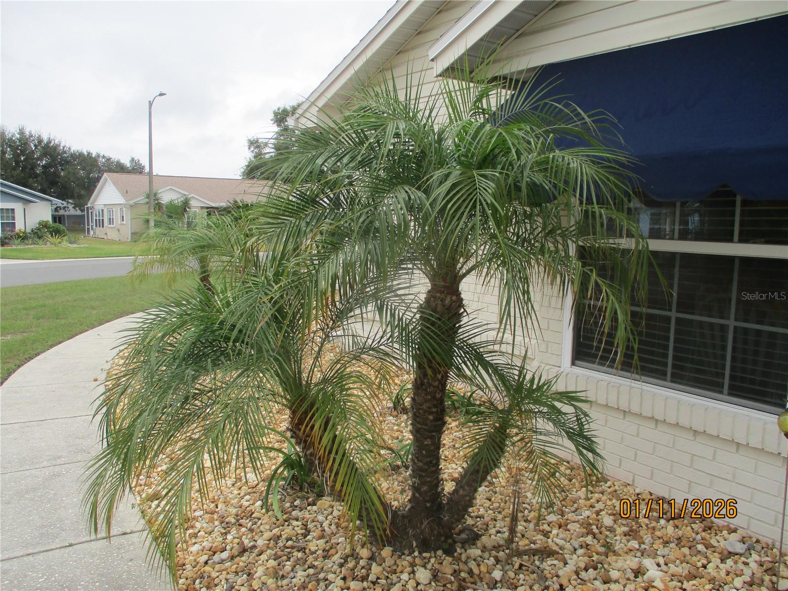 Image 61 of 68 For 6140 Seagull Lane