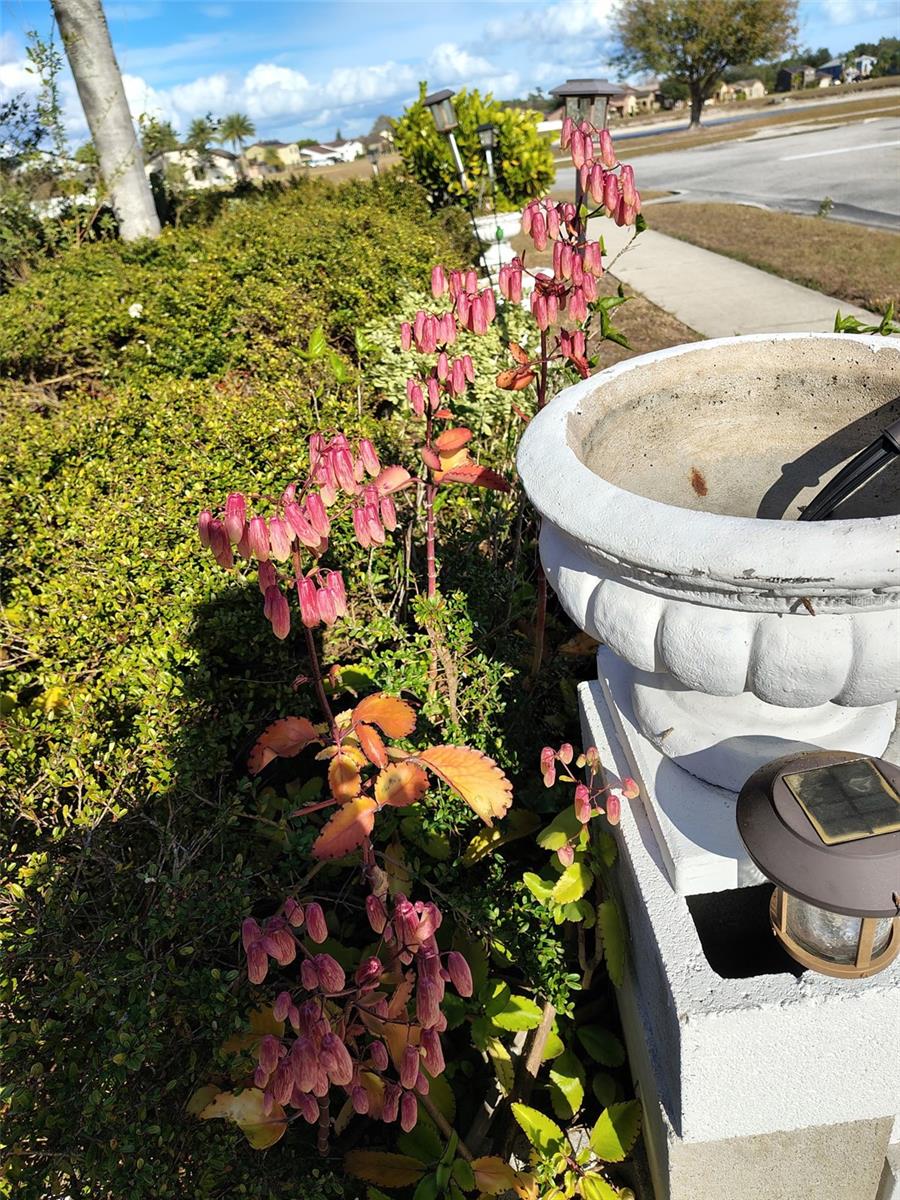 Image 55 of 55 For 3101 Swingle Drive