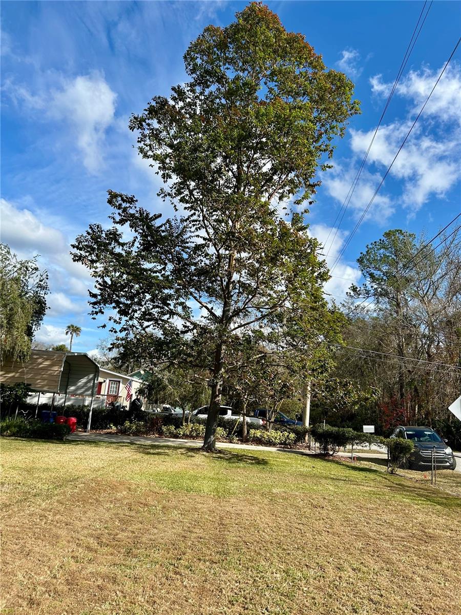 Image 47 of 48 For 55730 Holiday Circle