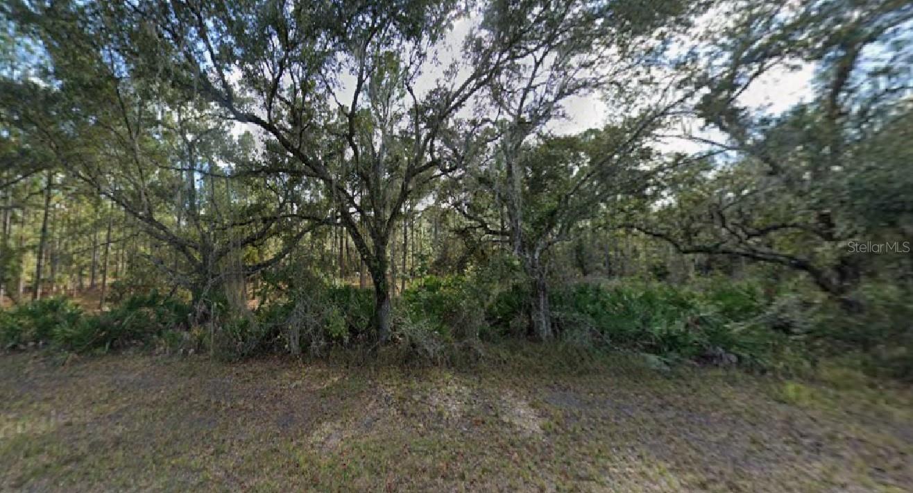 Listing Details for Oleander Drive, INDIAN LAKE ESTATES, FL 33855