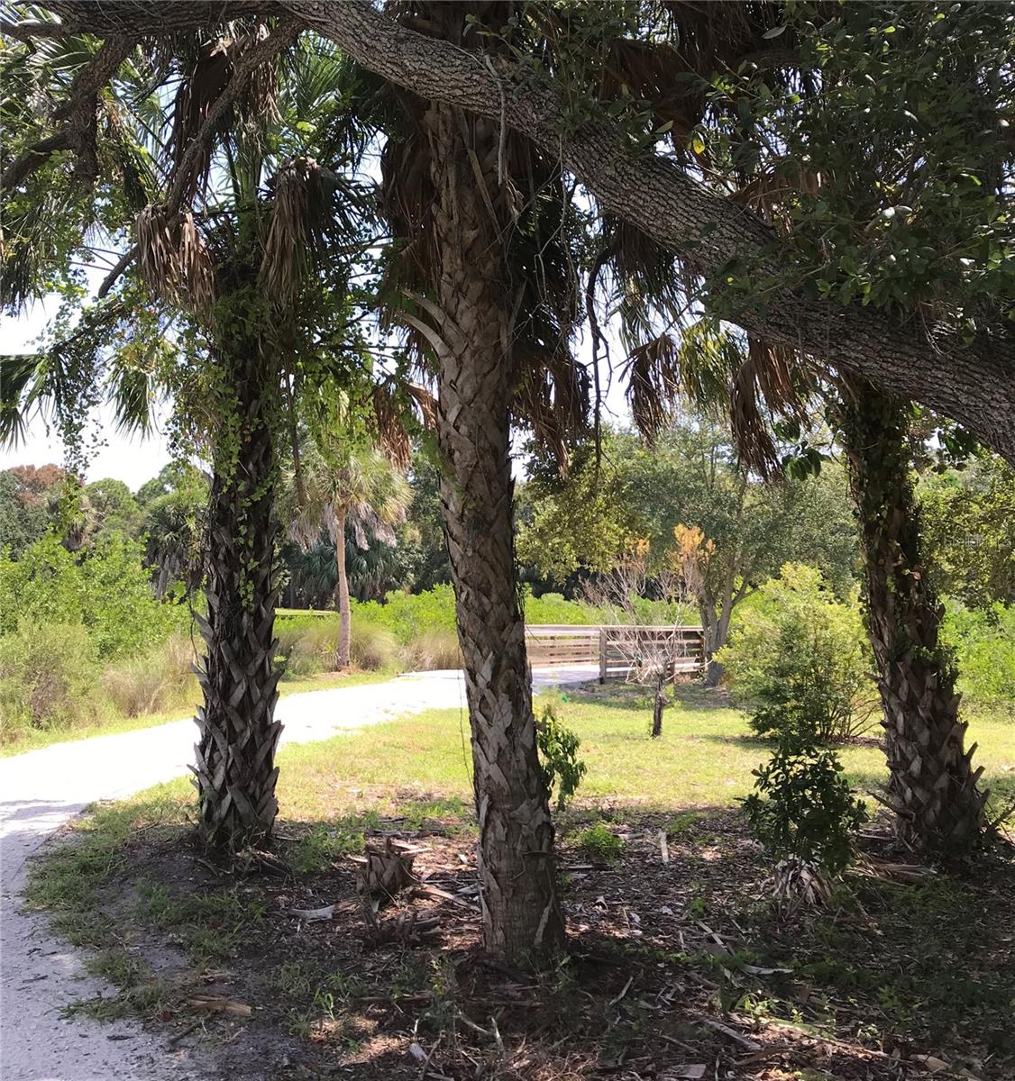 Image 12 of 23 For 3847 30th Avenue S